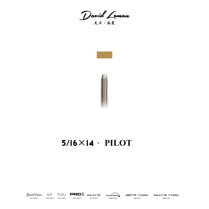 First Generation Version Cue Shaft DAVID LOMAN