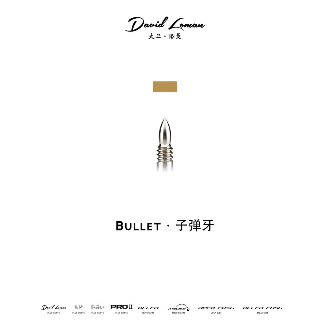 First Generation Version Cue Shaft DAVID LOMAN